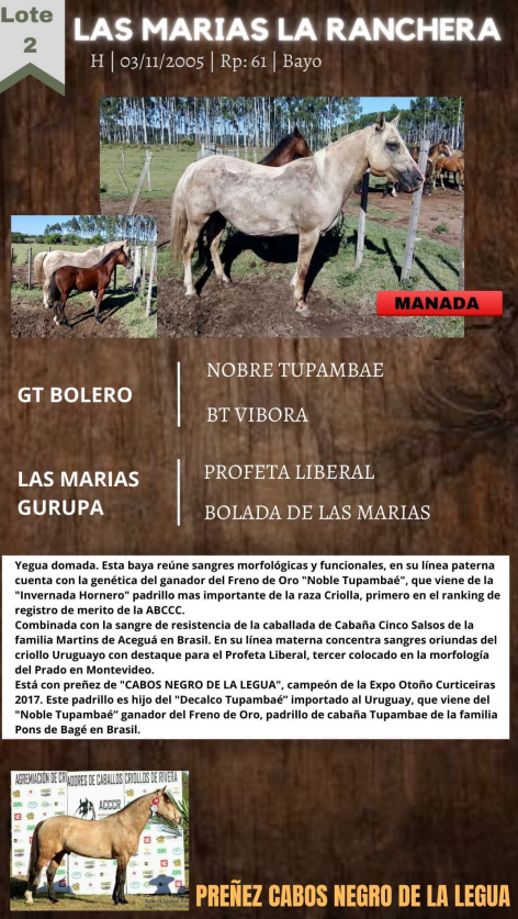 Lote LAS MARIAS LA RANCHERA
