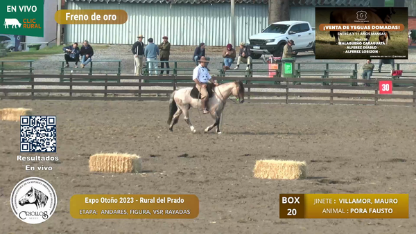 Lote PORA FAUSTO - PARIETTI HENDERSON, CARLOS