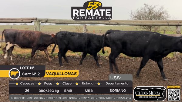 Lote 26 Vaquillonas  en Otra Localidad, Soriano