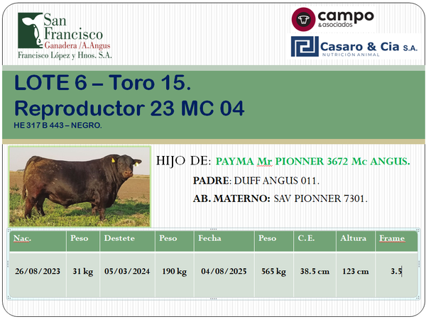 Lote TOROS ANGUS PC. San Francisco