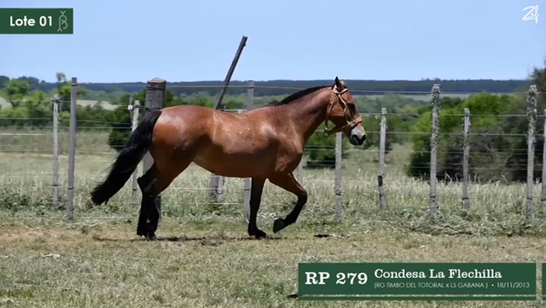 Lote Condesa La Flechilla