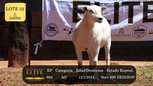 Lote LOTE 32