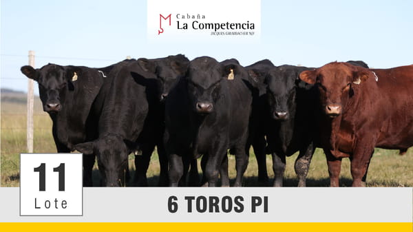 Lote (Vendido)Toros, Montevideo