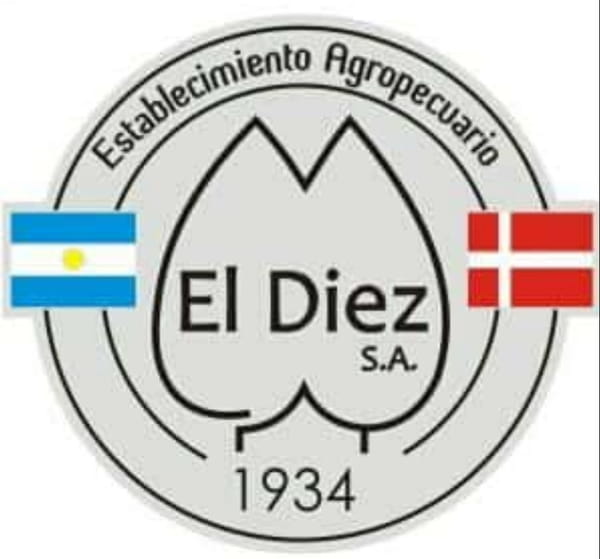 Lote VAQUILLONAS PARA SERVICIO EST. AGROP EL DIEZ