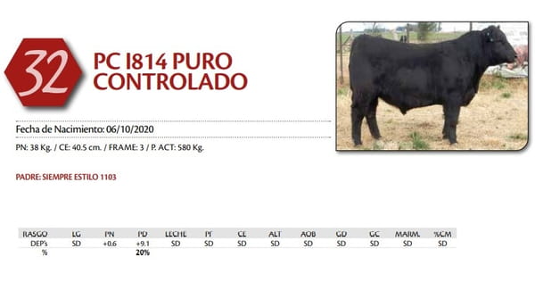 Lote TORO