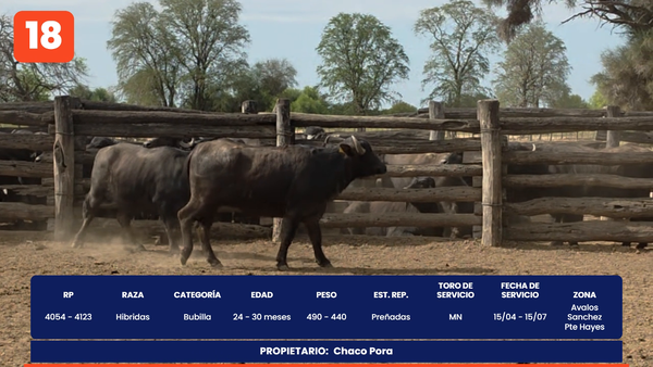 Lote LOTE 18