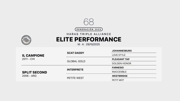Lote ELITE PERFORMANCE