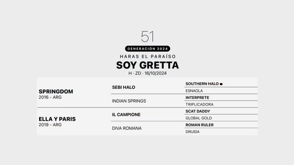 Lote SOY GRETTA