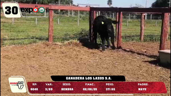 Lote LOTE 30