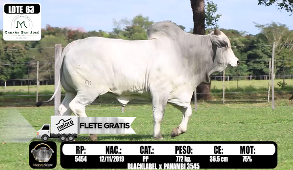 Lote LOTE  63-RP 5454