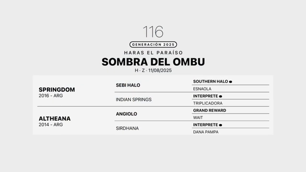 Lote SOMBRA DEL OMBU