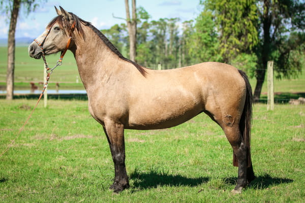 Lote Bien Blanca 584 De La Casilla