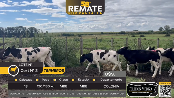 Lote 18 Terneros en El Cuadro, Colonia