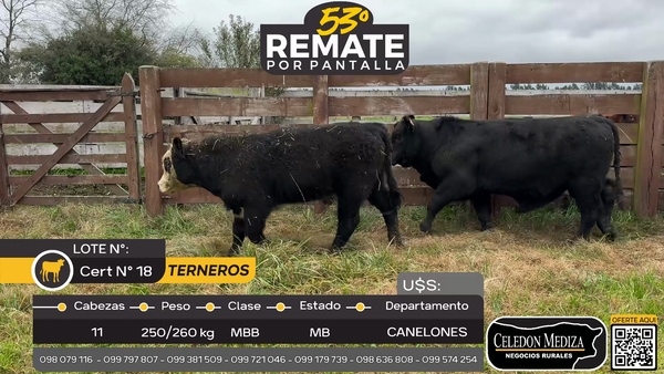 Lote 11 Terneros en Otra Localidad, Canelones