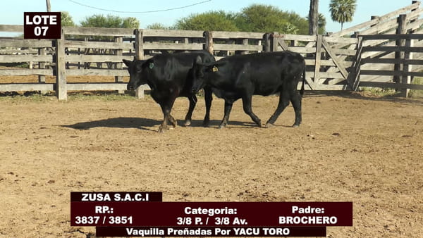 Lote Cabañas de Tradición - Lote 07