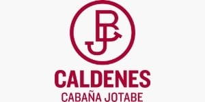 Lote VAQUILLONAS PR PREÑADAS  (CORRAL 50)