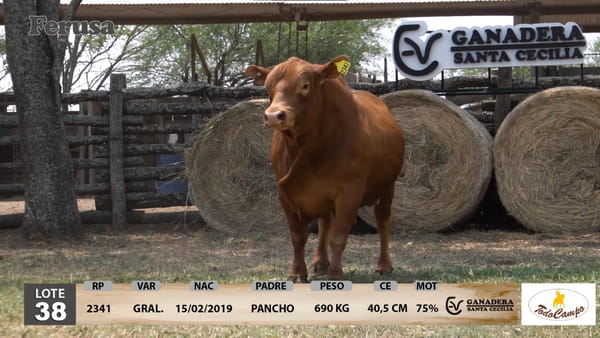 Lote Ganadera Santa Cecilia - Lote 38