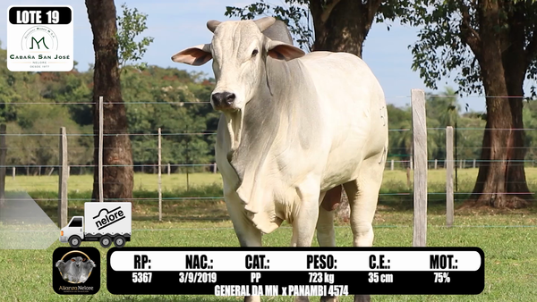 Lote LOTE  19- RP 5367