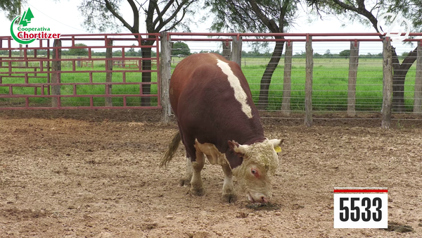 Lote Hereford
