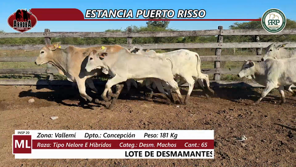 Lote ESTANCIA PUERTO RISSO