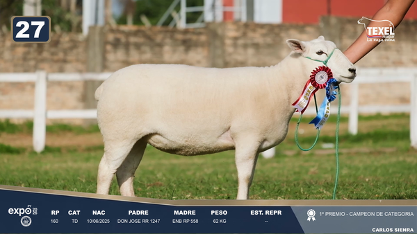 Lote LOTE 27