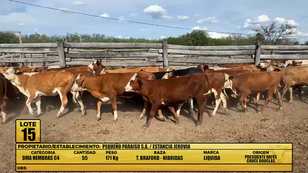 Lote LOTE 15