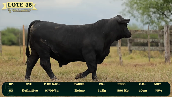 Lote LOTE 35