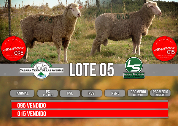 Lote LOTE 5