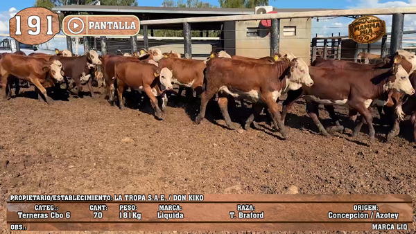 Lote LOTE 191 - PANTALLA