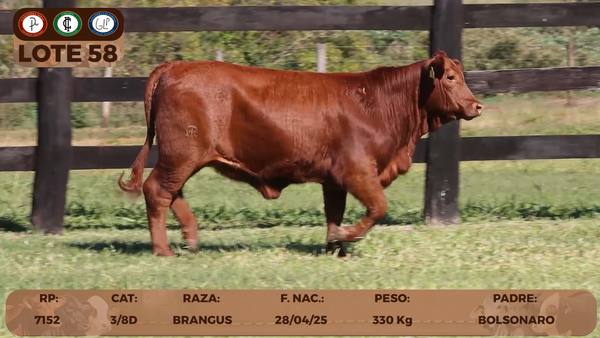 Lote LOTE 58- RESERVA DE CABAÑA