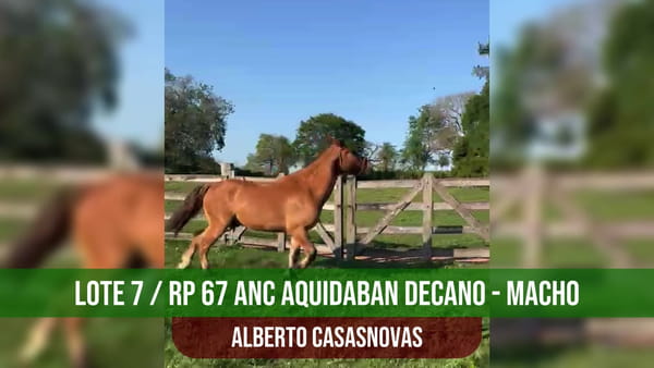 Lote ANC AQUIDABAN DECANO