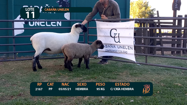 Lote LOTE 11 - CABAÑA ARGENTINA