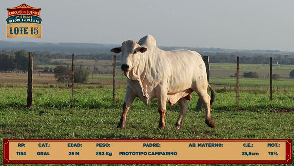 Lote LOTE 15