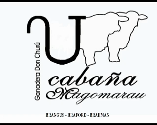 Lote CABAÑA "MAGOMARAU" 559