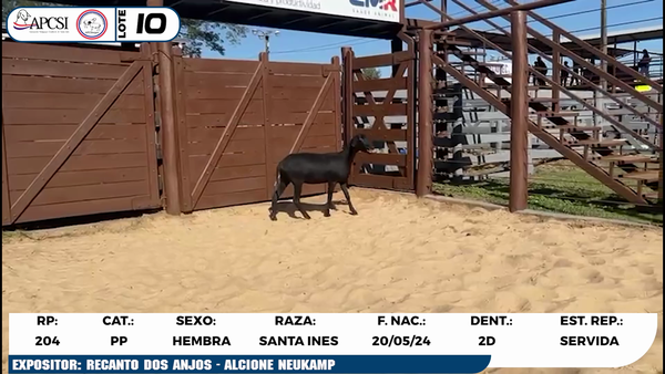 Lote LOTE 10