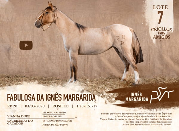 Lote FABULOSA DA IGNES MARGARIDA RP 20