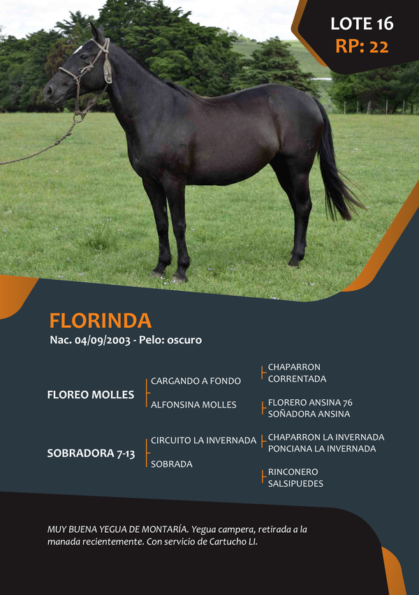 Lote RP 22 - FLORINDA