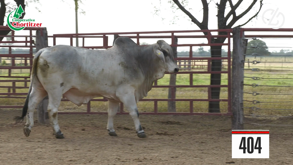 Lote Brahman