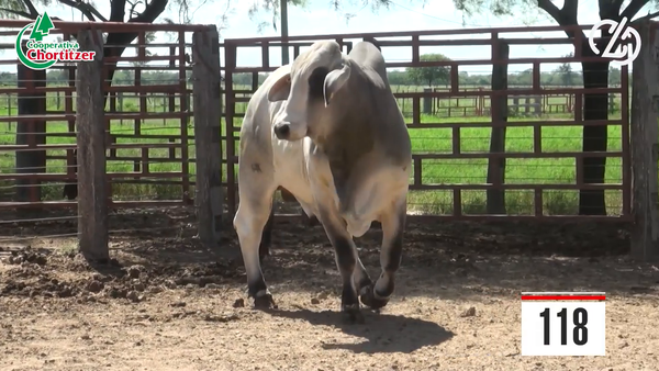 Lote Brahman