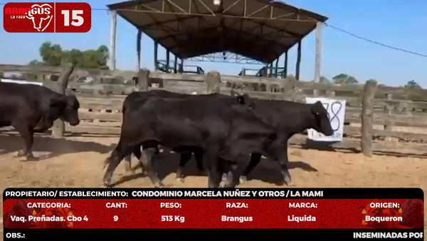 Lote LOTE 15 - POR PANTALLA