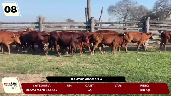 Lote LOTE 8- POR PANTALLA