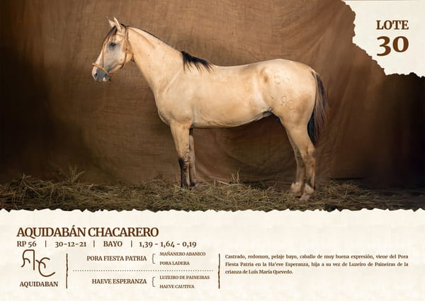 Lote AQUIDABAN CHACARERO