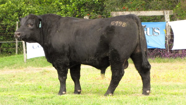 Lote CABAÑA COEMBOTÁ: RP 198