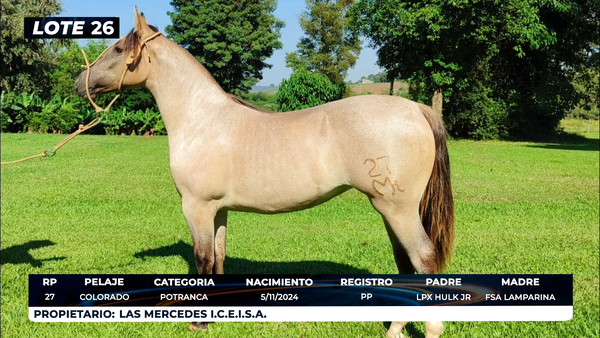Lote LOTE 26- DE BOZAL