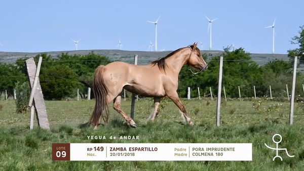 Lote ZAMBA ESPARTILLO