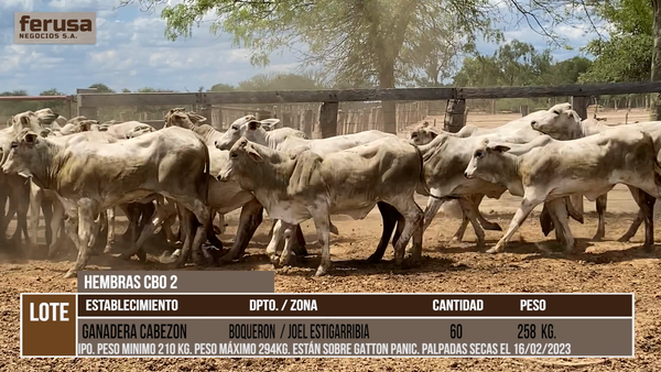 Lote ESTANCIA CABEZON  - LOTE 6
