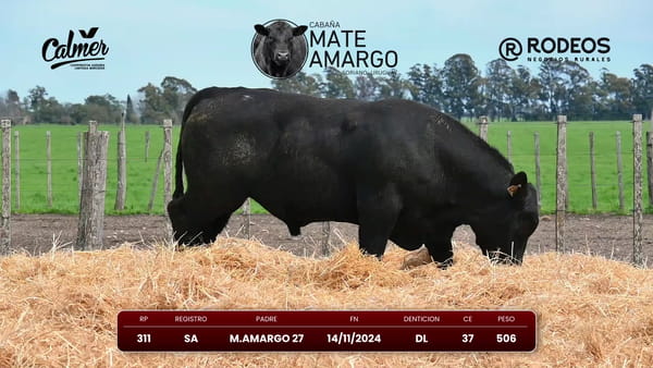 Lote RP 311 SA