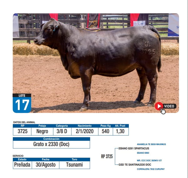 Lote Grato x 2330 (Doc)