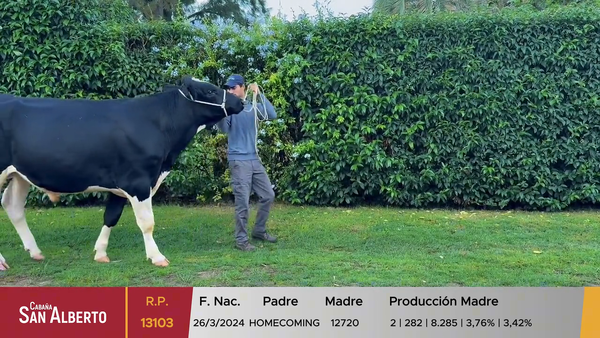 Lote Toros, Canelones