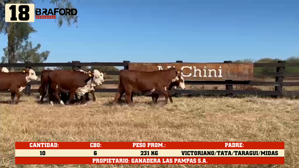 Lote LOTE 18
